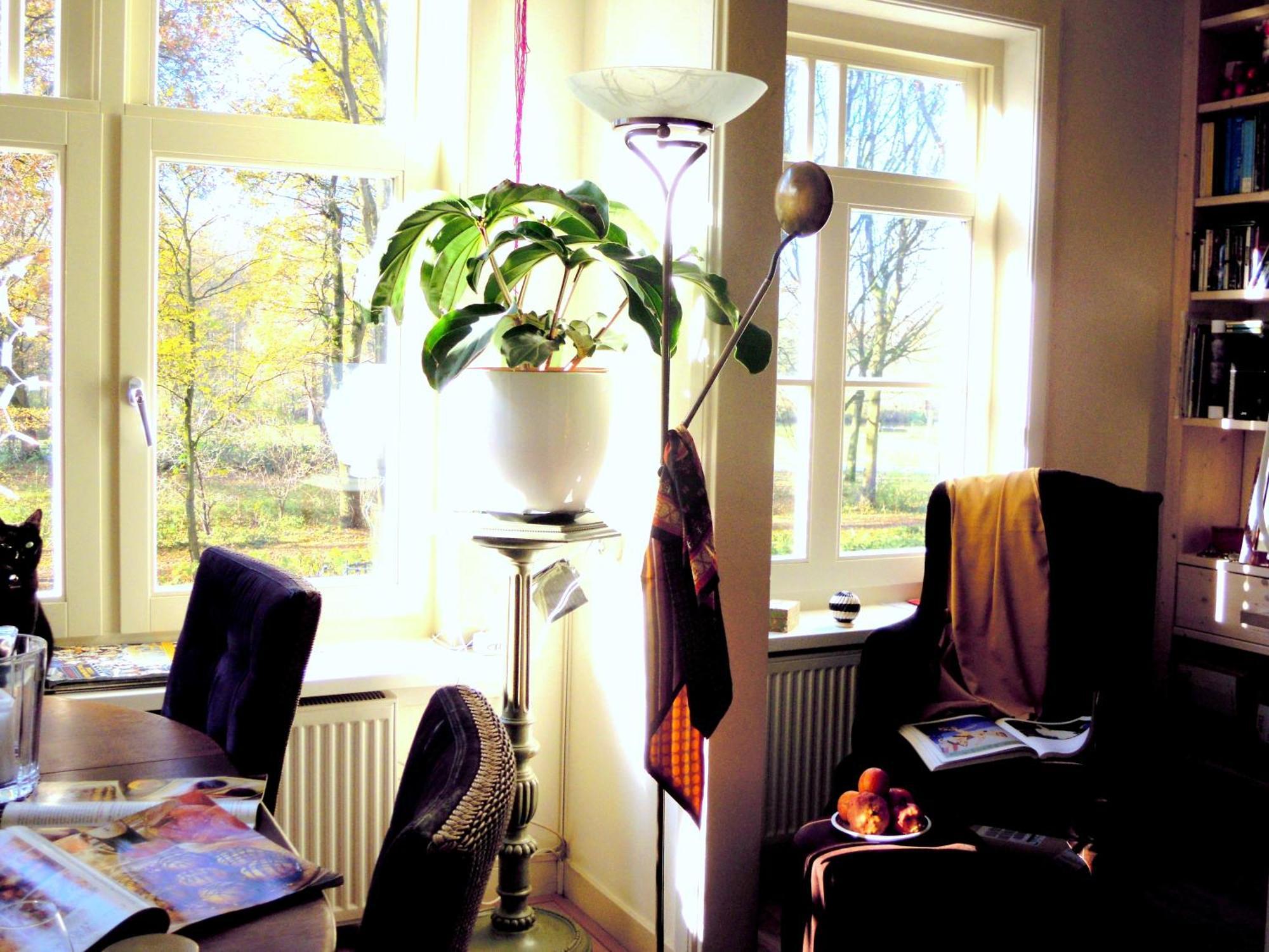 Missortelia B&B Amszterdam Kültér fotó