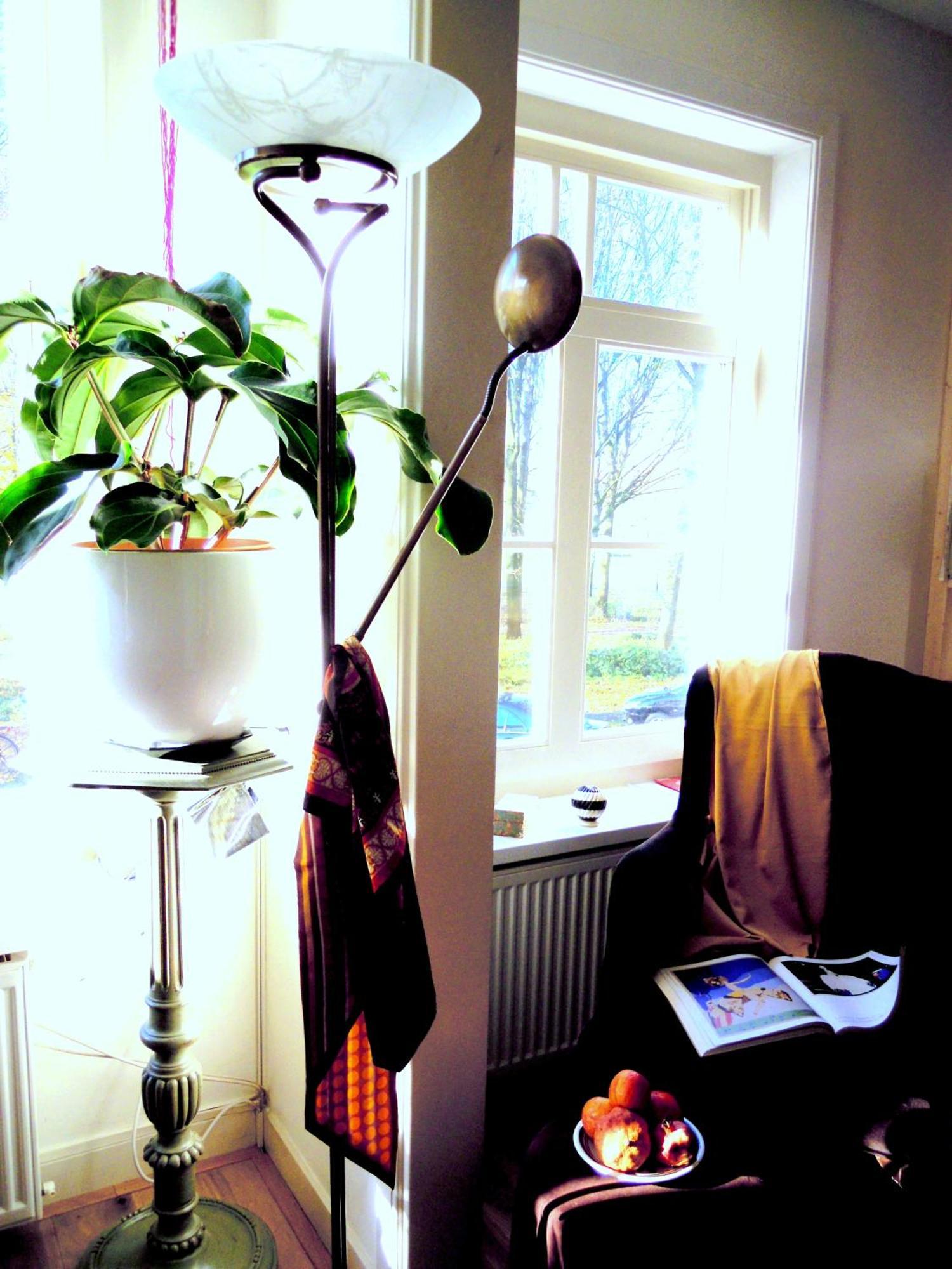 Missortelia B&B Amszterdam Kültér fotó